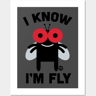 FLY Posters and Art